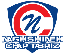 nashshine-logo